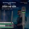 Dual Wireless Microphone System for Home and Stage Use
