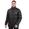 Nautica Herren Pfau Pufferjacke