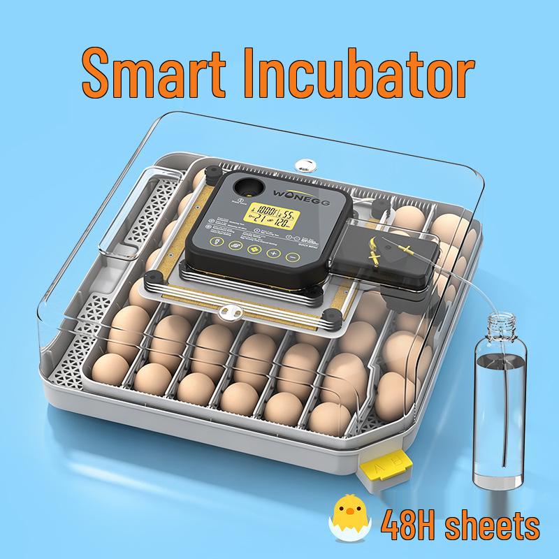 Smart Mini Egg Incubator for Parrots and Budgies: Automatic Pet Hatchery Equipment