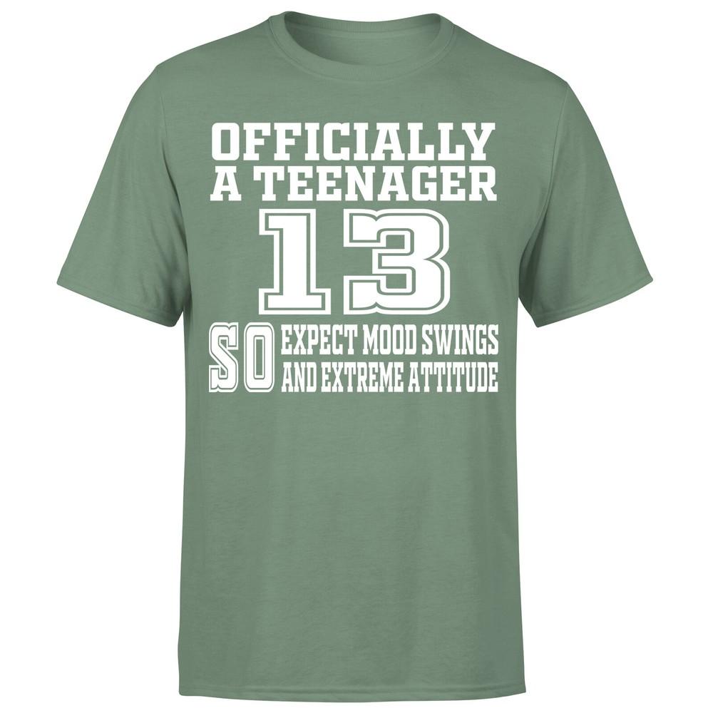 Officially A Teenager For Adults Birthday Gift Unisexs TShirtP1OrA 2XL