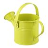 Reusable Watering Can Smooth Pouring Stable Position Thick Base
