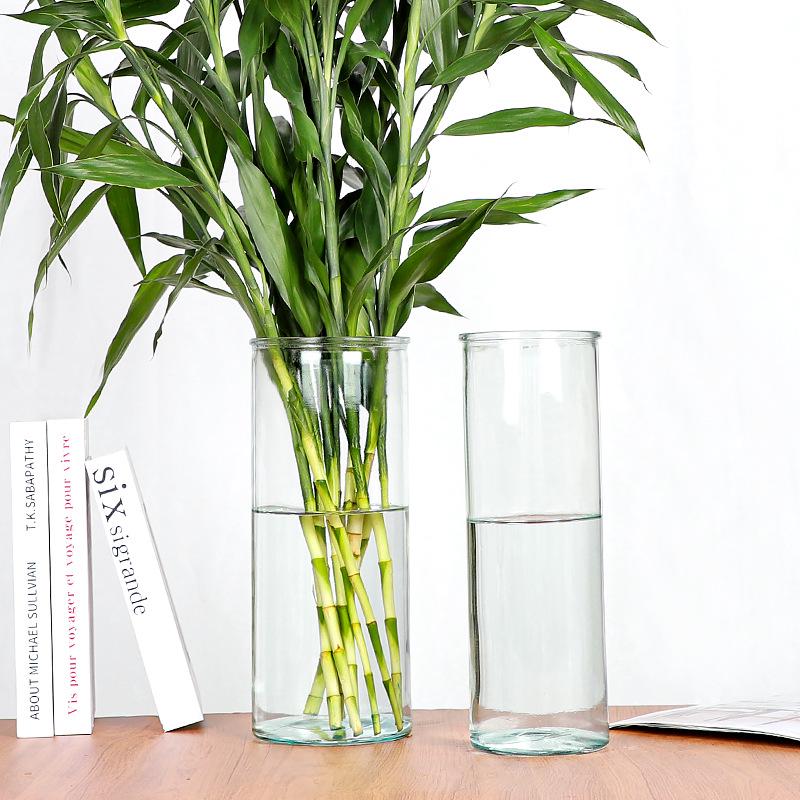 Lucky Bamboo Straight Glass Hydroponic Vase - Simple & Creative Micro Landscape Ornament