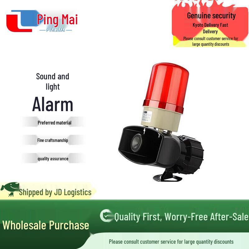 Pingmai Wireless Remote Sound & Light Security Alarm