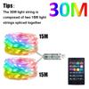 2-30M RGBIC String Lights Smart APP Control DIY Custom WS2812B Waterproof Festoon for Christmas Tree Room Curtain Decor Garland