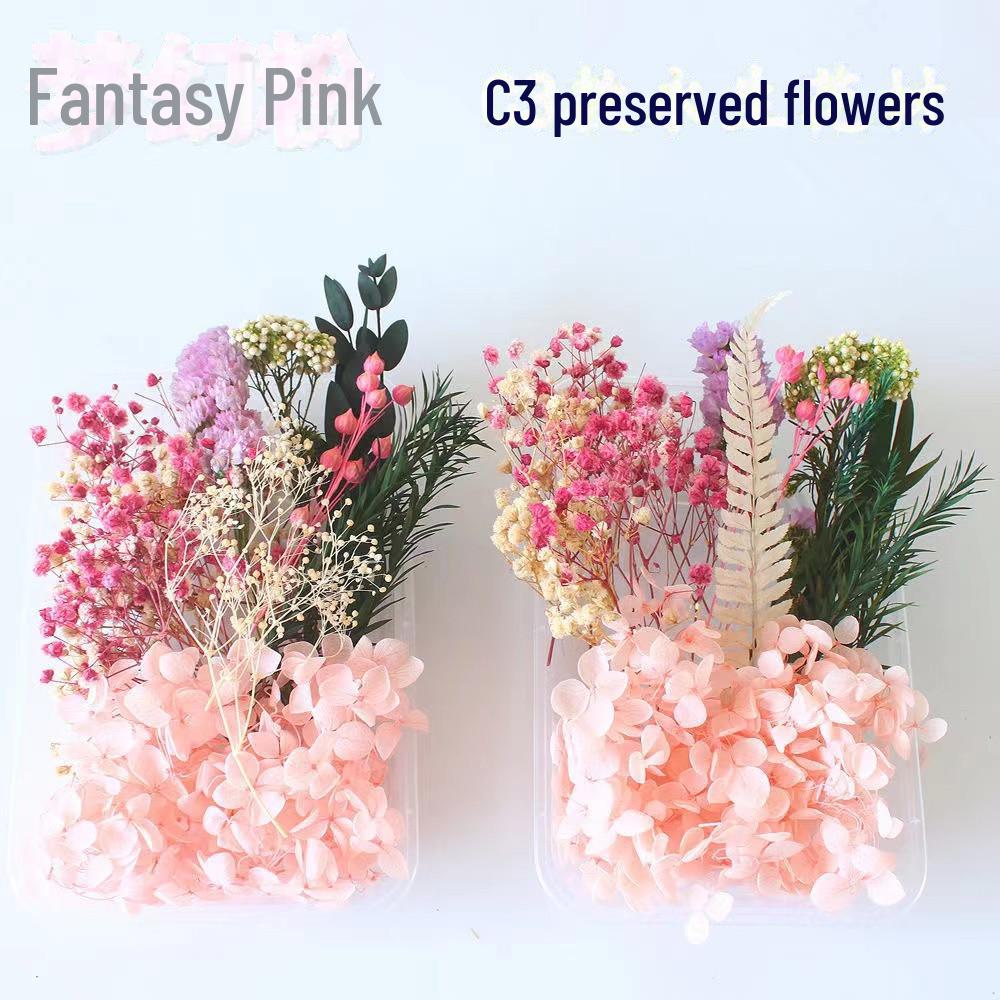 Kit DIY Fleur Éternelle: Cadre photo de fleurs séchées, éventail rond, bouteille flottante, composition florale réelle pour la décoration du salon ou de la maternelle.