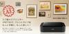 Canon Inkjet Printer PIXUS iP8730