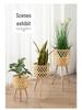 Nordic Style Bamboo Woven Plant Basket - Rattan Balcony Pothos Stand