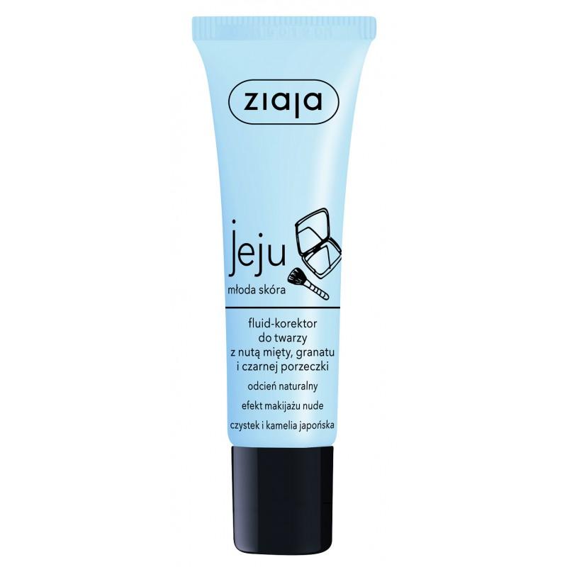 Ziaja Jeju Fluid-concealer for the Face with a Hint of Mint, Pomegranate and Blackcurrant, Natural Shade, 30 Ml