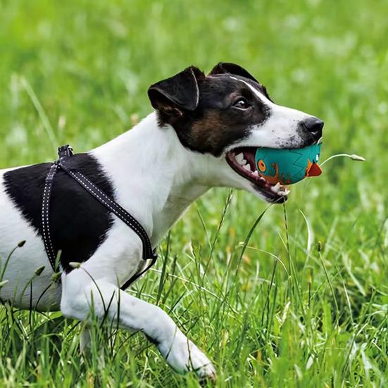 Pet Toy Built-in Airbag Sound Effect Chewing Toy with Bird Design Elastic Rubber Interactive Toy for Dogs