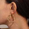 Stylish Heart With Thorn Earrings Statement Pieces Korean Styles Alloy Fashion Ear Jewelry