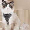 Cat Harness And Leash Reflective Strips Jacket Breathable Adjustable Vest Harness Escape Proof Easy Control Leash for Cats