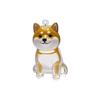Clear Puppy Hair Memorial Keepsake Capsule Pet's Dog Fur Container DIY Pendant Keychain Decor Pet Lovers Home Display Gifts