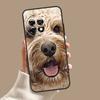 Brown Cockapoo Case For OnePlus Nord CE 5 2 3 4 Lite N30 OnePlus 13 11 12 15 13T 13R 10T 12R 9 10 Pro Cover