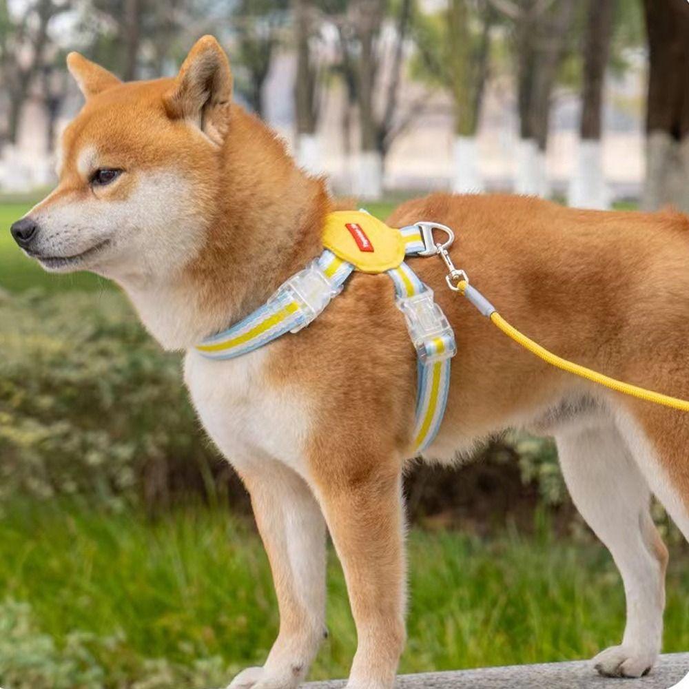 Adjustable Dog Chest Strap Multi-color Pet Walking Vest Dog Harness and Leash Set  Outdoor Walking