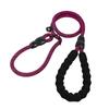 Dog Chain Pet Leash Explosion-proof Integrated P Rope P Chain Outdoor Leash Walking Medium and Large Dog