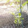 10Pcs 13cmx49cm Garden Prickle Strip Dig Stop Cat Repellent Deterrent Mat Spike