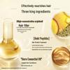 L'Oreal Elseve Extraordinary Oil Smooth & Manage Hair Care