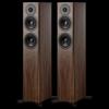 Dynaudio Evoke 30 HiFi Passive Floor-standing Speakers (CN version)