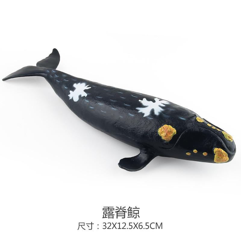 Soft Pvc Ocean Animal Model Toy Collection Featuring Blue Whale And Sperm Whale