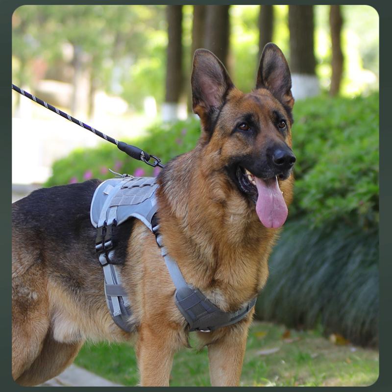 Large Dog Tactical Chest Strap Outdoor Waterproof Explosion-proof Traction Rope Chest Strap Medium and Large Working Dog Vest