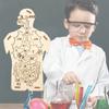 Edukacyjny Zestaw do Eksperymentów Naukowych dla Dzieci DIY Drewniane Puzzle Anatomia Ludzkiego Układu Trawiennego Konfigurowalny