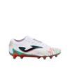 Soccer Shoes Striker 2502 FG