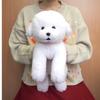 Sunlemon Knee Dog Bichon Frise S X X Cm Stuffed Animal 19.8 14.2 30.8 P-4132