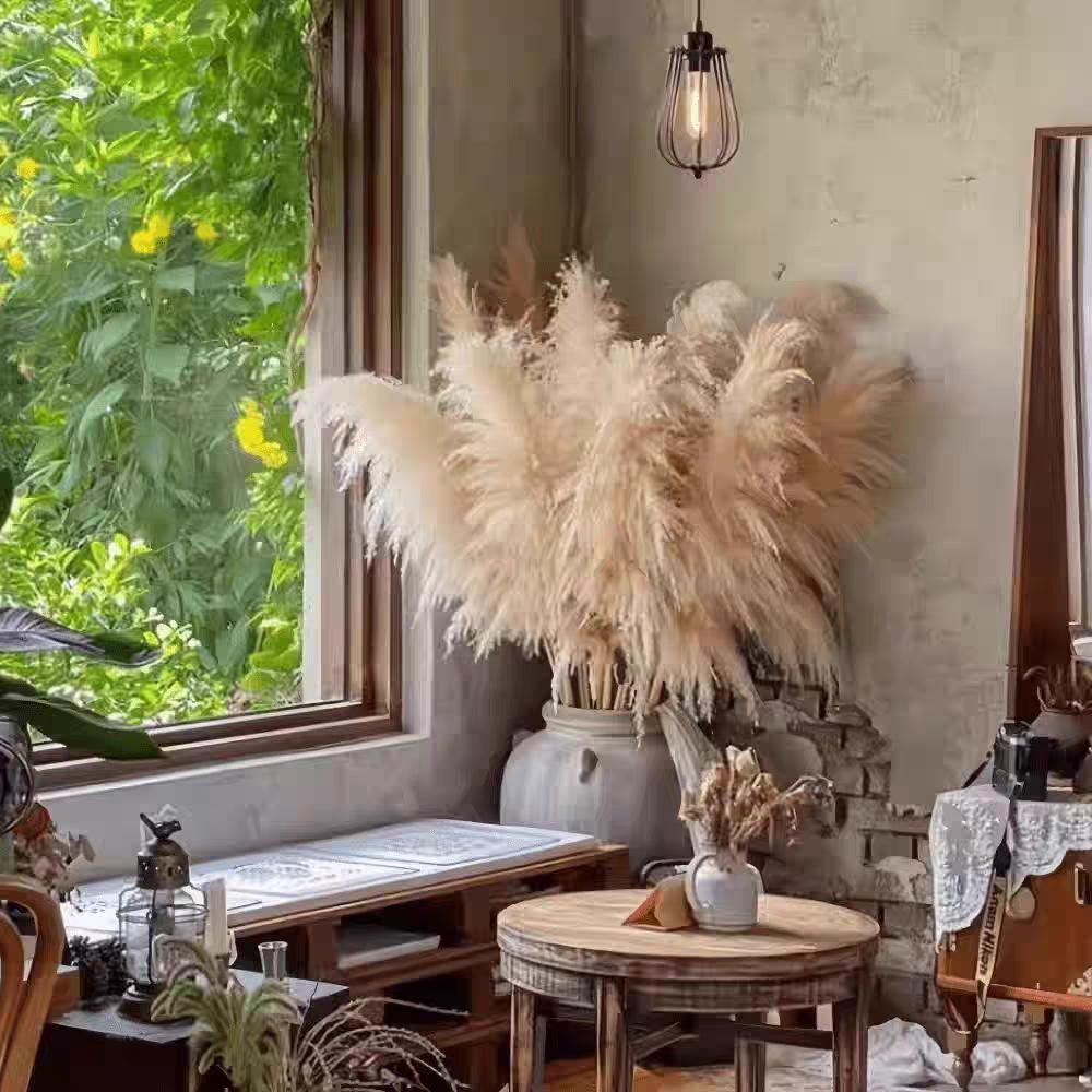 Large Dried Pampas Reed for Decoration in Clothing Stores, Windows, or Weddings