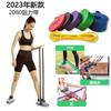 Resistance Bands Chest Workout Pull-Up Assist Home Fitness Training With Handles Door Anchor Carabiner