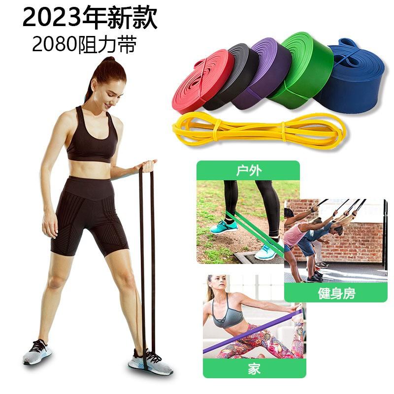 Resistance Bands Chest Workout Pull-Up Assist Home Fitness Training With Handles Door Anchor Carabiner