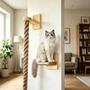 Wall Mounted Cat Sisal Climbing Rope with Wooden Step Cat Wall Scratcher Cat Climber Toy for Indoor Cats Cat Tree Alternative