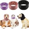 Abbigliamento e scarpe – Accessori per cani