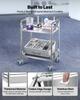 VEVOR Stainless Steel Cart, 2-Tier Rolling Lab Utility Cart with Lockable Wheels, Medical Serving Trolley Clinic Tray