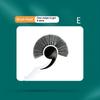 Long Handle Durable Plastic Aquarium Glass Algae Cleaner Corner Gap Cleaning Tools For Home