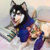 Winter Dog Coat Medium Large Breeds Golden Retriever Border Collie Samoyed Thick Warm 4-Legged Hooded Cotton Jacket