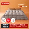 JDZ Premium Down Winter Comforter