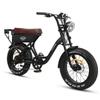 TXED Motorcycles for Adult 20inch with 250W Motor and 48V15.6AH Battery