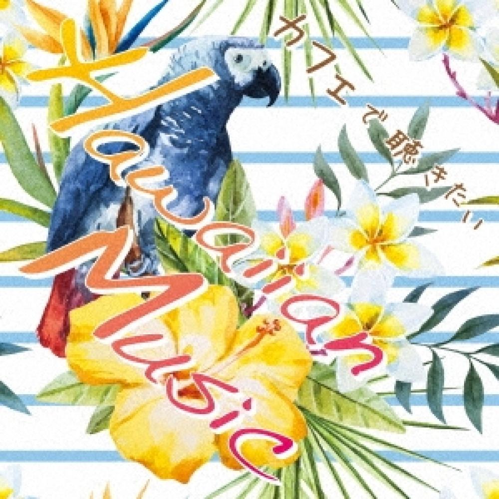 

ГАВАЙСКАЯ МУЗЫКА, КОТОРУЮ Я ХОЧУ ПОСЛУШАТЬ В КАФЕ