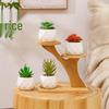 Artificial Succulent Mini Potted Plant Set