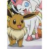 Couverture Sherpa - POKEMON - Evolutions - 100 x 150 cm