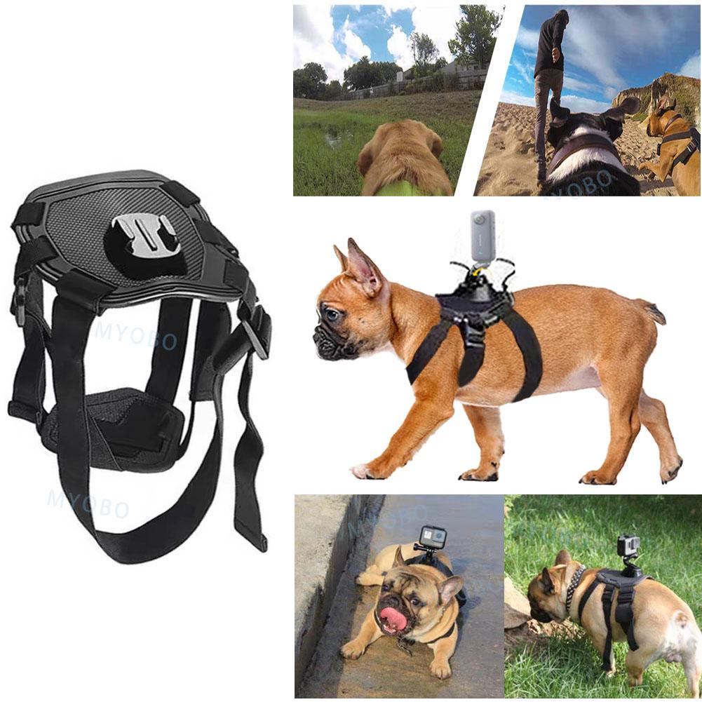 Dog Camera Harness Mount for Gopro Hero 12 11 10 9 DJI OSMO Insta360 Accessories, for Small Medium Large Dogs for Chest and Back