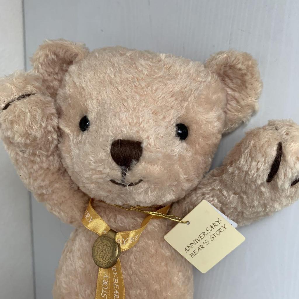 [USED] Teddy Bear, Teddy Bear, Stuffed Toy
