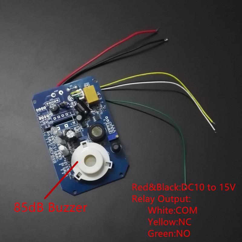 PDTO Nuovo rilevatore di allarme per perdite di gas liquefatto di gas naturale per auto camper da 12 V