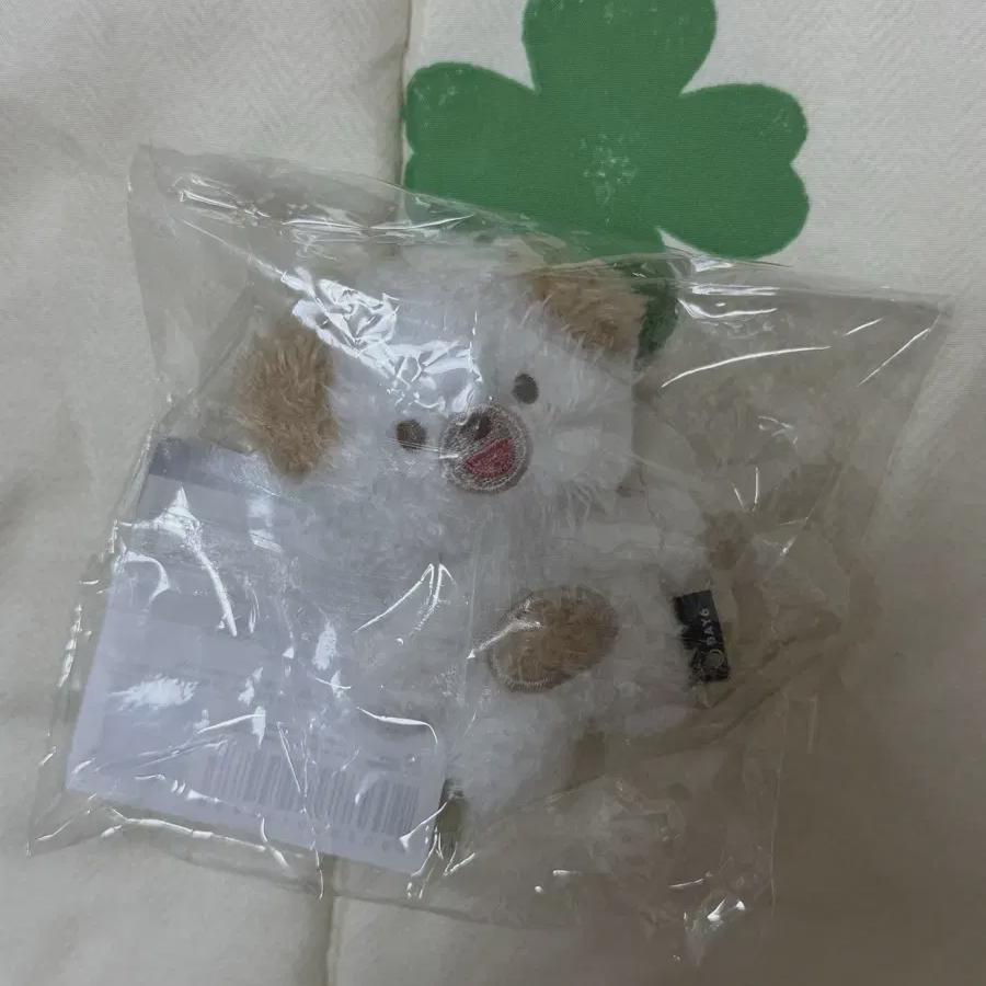 

DAY6 Пэттималс Магнит Дон