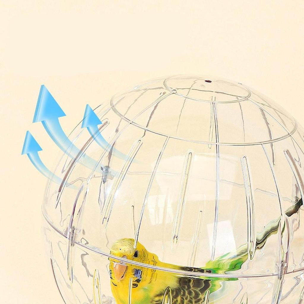 Hamster Exercise Ball, Running Wheel, Stylish, Fun, Transparent Reduces Boredom, Interactive Play