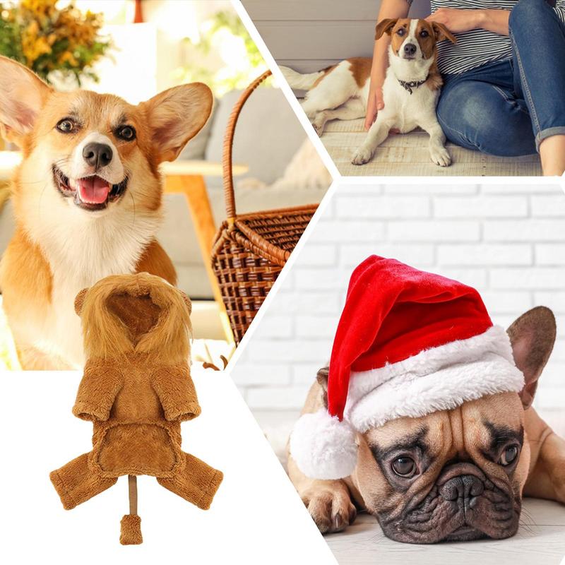Hund Löwen Hoodie Haustierkleidung Cosplay Outfit Süß Weich Warm Löwenperücke Haustierkleidung Outfit Für Kleine Mittlere Bis Große Hunde
