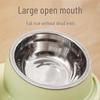 Slanted Double Bowl: Anti-Spill Cat & Dog Food and Water Bowl