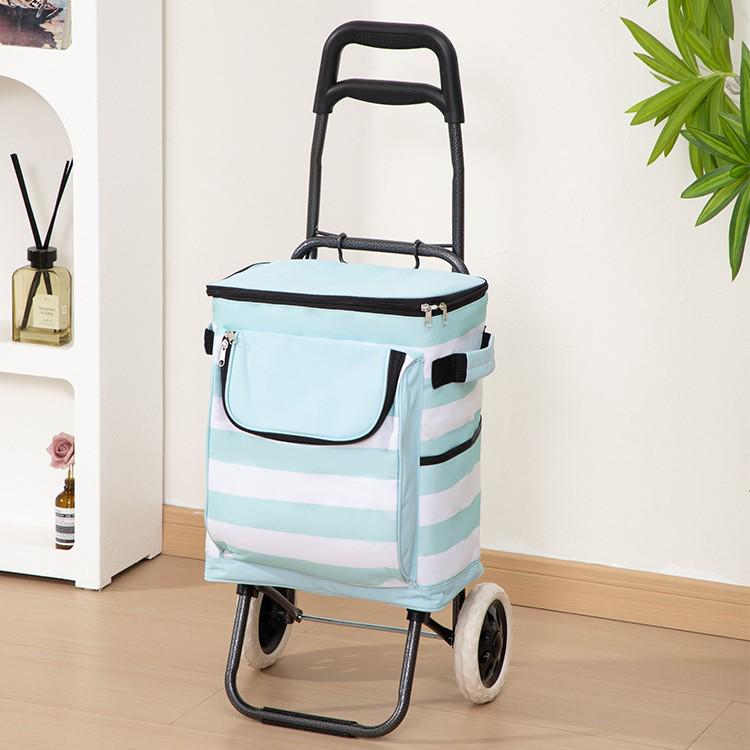 Lekki Składany Wózek na Zakupy z Wkładem Chłodzącym do Użytku na Zewnątrz i w Supermarkecie