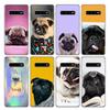 Cute Pug Dog Phone Case For Samsung Galaxy A52 A51 A50S A32 A22 A12 A02S A72 A71 A31 A70 A30S Note 20 Ultra 10 Plus S10 Galaxy A