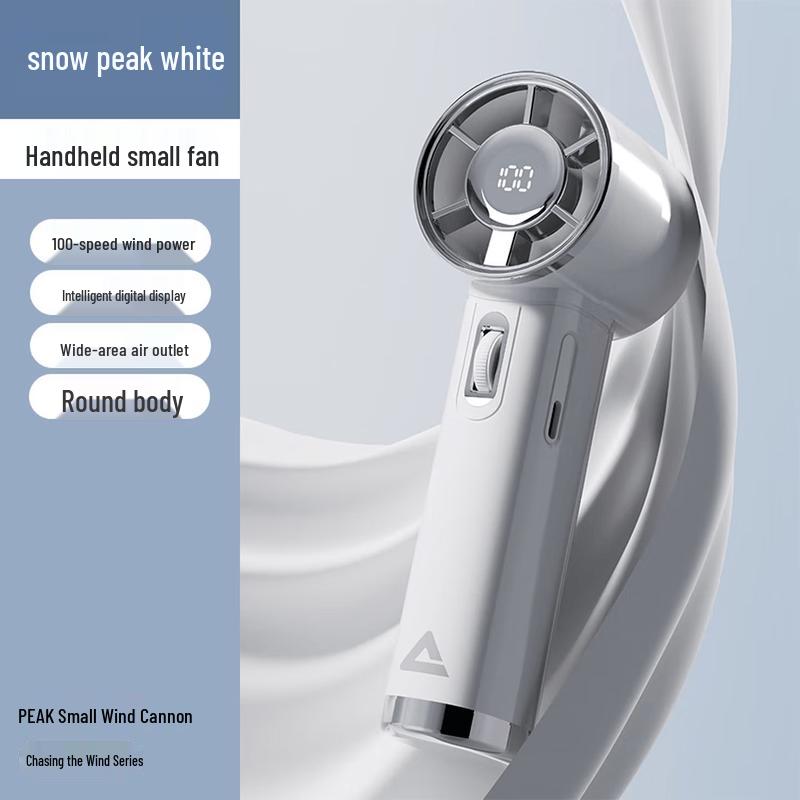 Pik YE35006 Portable 100-Speed Mini Fan